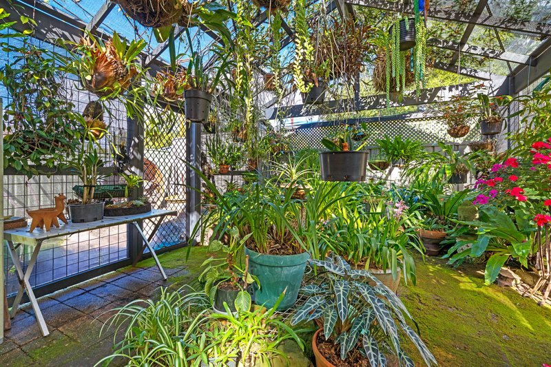 Photo - 74 Camden Head Road, Dunbogan NSW 2443 - Image 25