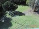 Photo - 74 Dalhunty Street, Tumut NSW 2720 - Image 6