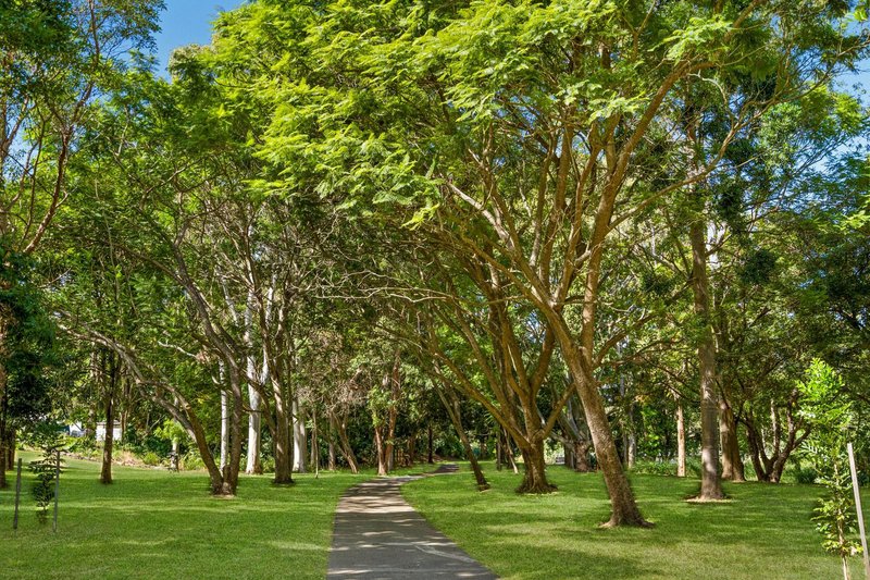 Photo - 74 Davidson Street, Newmarket QLD 4051 - Image 20