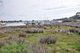 Photo - 74 Eighth Avenue, Raymond Island VIC 3880 - Image 11