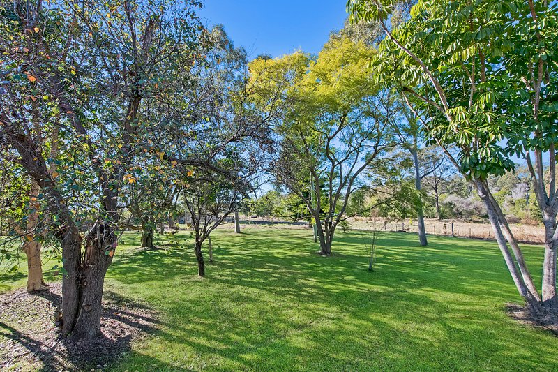 Photo - 74 Frazers Creek Road, Beechwood NSW 2446 - Image 15