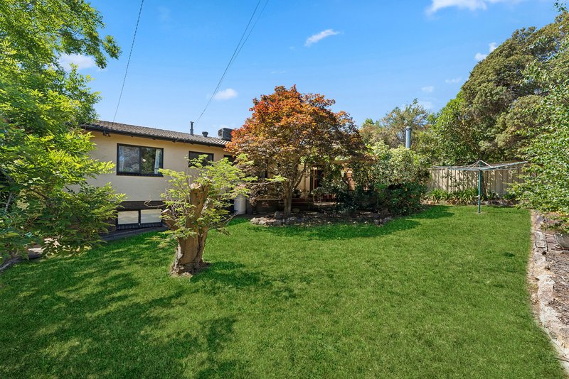 Photo - 74 Hilder Street, Weston ACT 2611 - Image 14