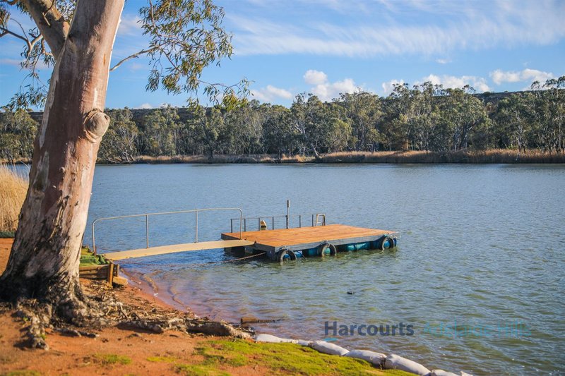 74 Marks Landing Shack Road, Swan Reach SA 5354 Real Estate Industry