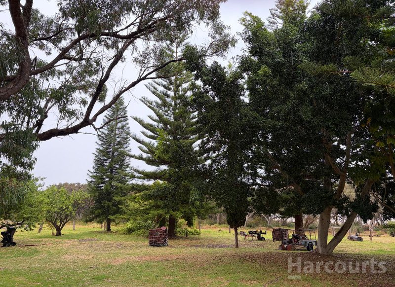 Photo - 74 Newnham Road, Lake Clifton WA 6215 - Image 6