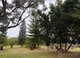 Photo - 74 Newnham Road, Lake Clifton WA 6215 - Image 6