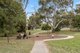 Photo - 7/4 Nuyts Street, Red Hill ACT 2603 - Image 14