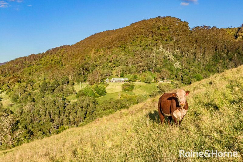 Photo - 741 Wattamolla Road, Kangaroo Valley NSW 2577 - Image 7