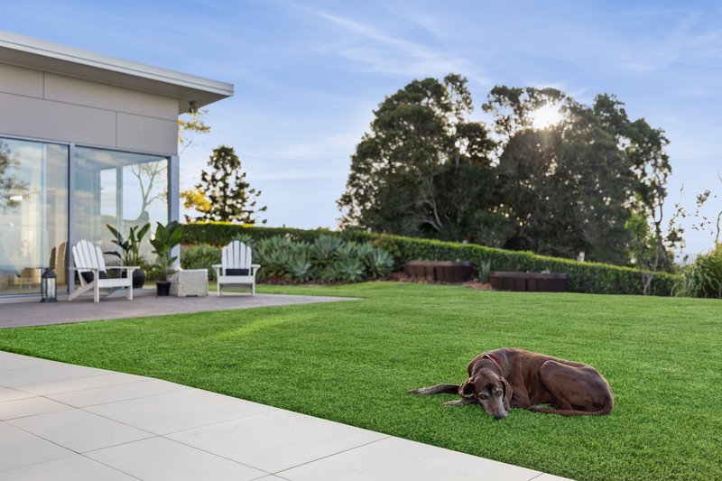 Photo - 742 Cooroy Belli Creek Road, Black Mountain QLD 4563 - Image 18