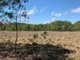 Photo - 743 Riley Road, Koumala QLD 4738 - Image 3