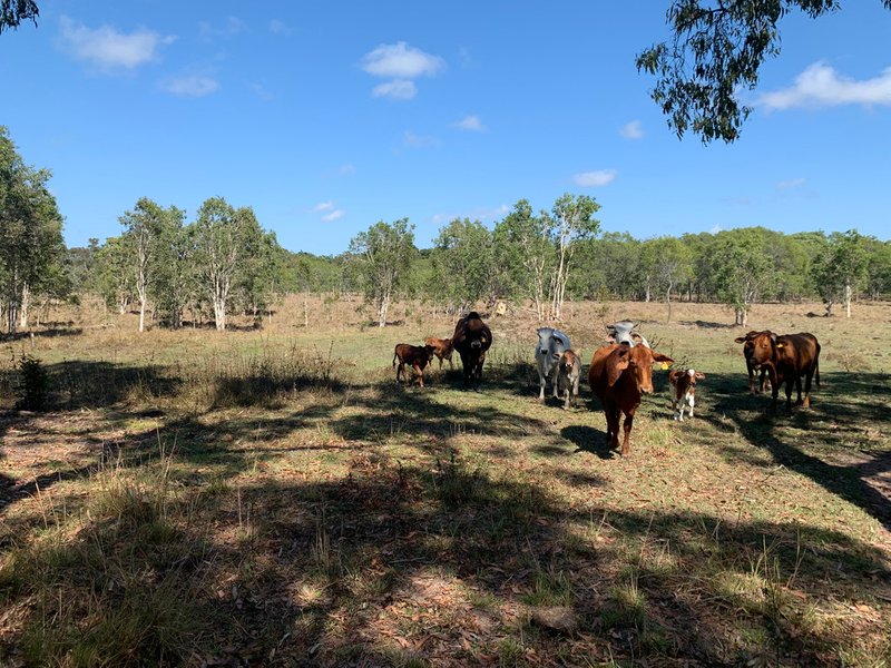 Photo - 743 Riley Road, Koumala QLD 4738 - Image 6