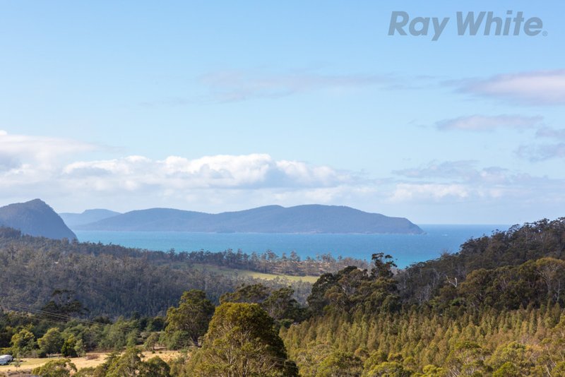 Photo - 748 Bream Creek Road, Bream Creek TAS 7175 - Image 3