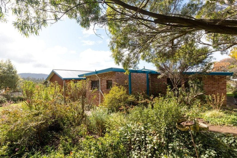 Photo - 748 Bream Creek Road, Bream Creek TAS 7175 - Image 7