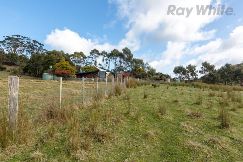 Photo - 748 Bream Creek Road, Bream Creek TAS 7175 - Image 21