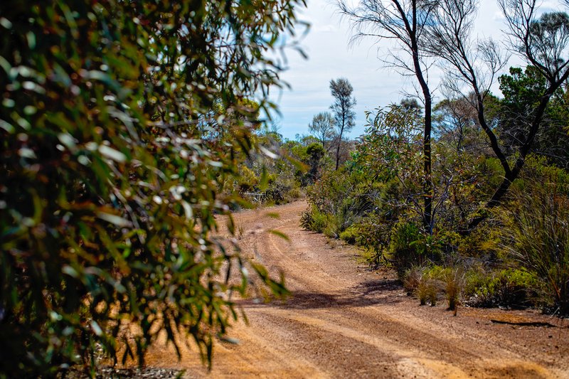 Photo - 75 Acacia Drive, Hopetoun WA 6348 - Image 4