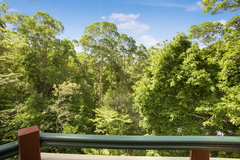 Photo - 75 Ballinger Road, Buderim QLD 4556 - Image 13