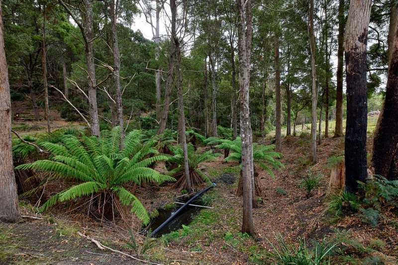 Photo - 75 Barnbougle Road, North Scottsdale TAS 7260 - Image 8