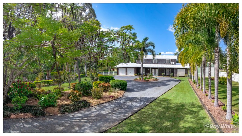 Photo - 75 Belmont Road, Parkhurst QLD 4702 - Image 33