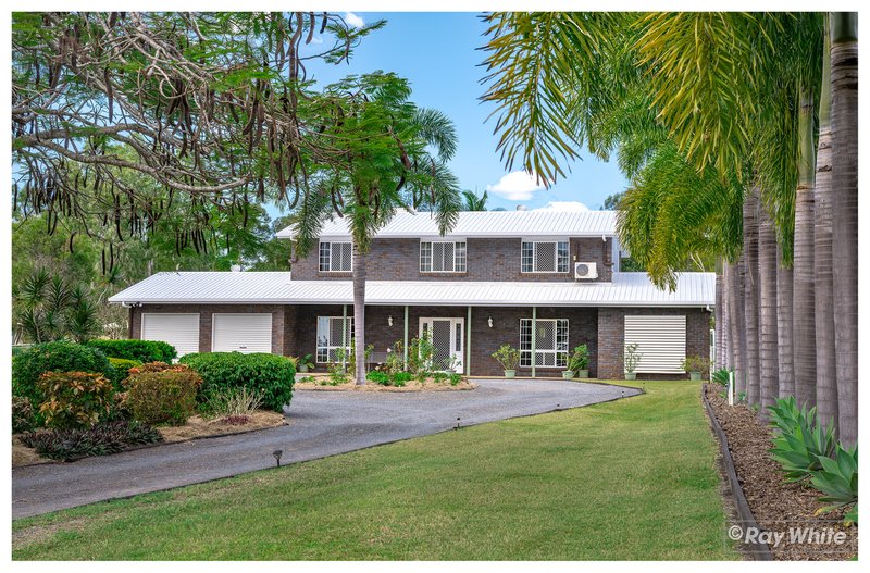 Photo - 75 Belmont Road, Parkhurst QLD 4702 - Image 34