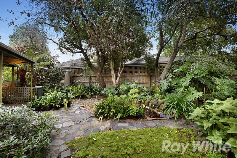 Photo - 75 Box Hill Crescent, Mont Albert North VIC 3129 - Image 10