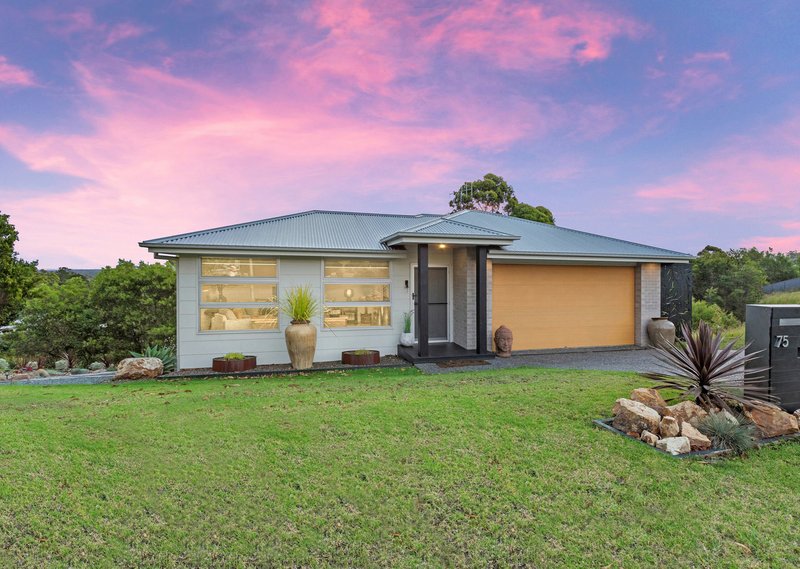 75 Coastal View Drive, Tallwoods Village NSW 2430