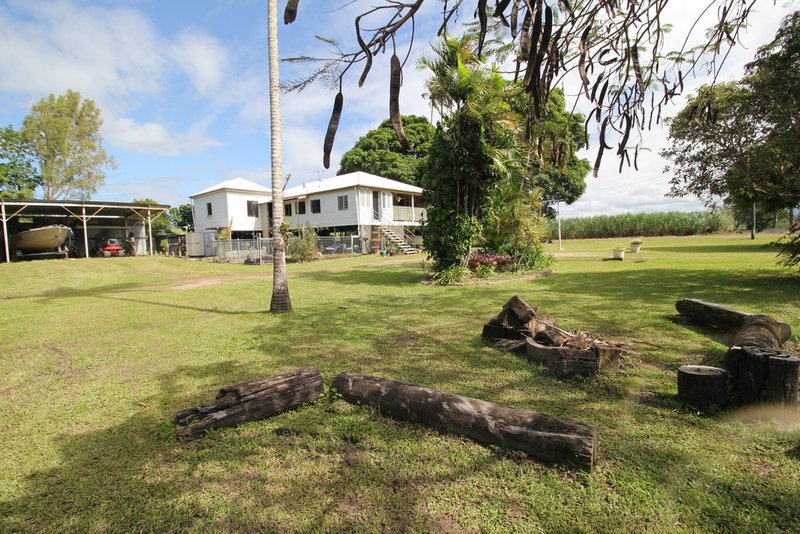 Photo - 75 Farrell Drive, Macknade QLD 4850 - Image 5