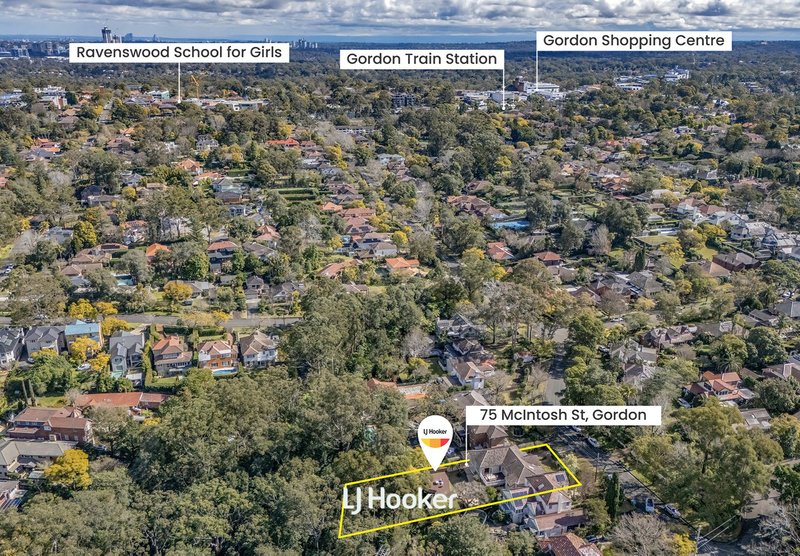 Photo - 75 Mcintosh Street, Gordon NSW 2072 - Image 16