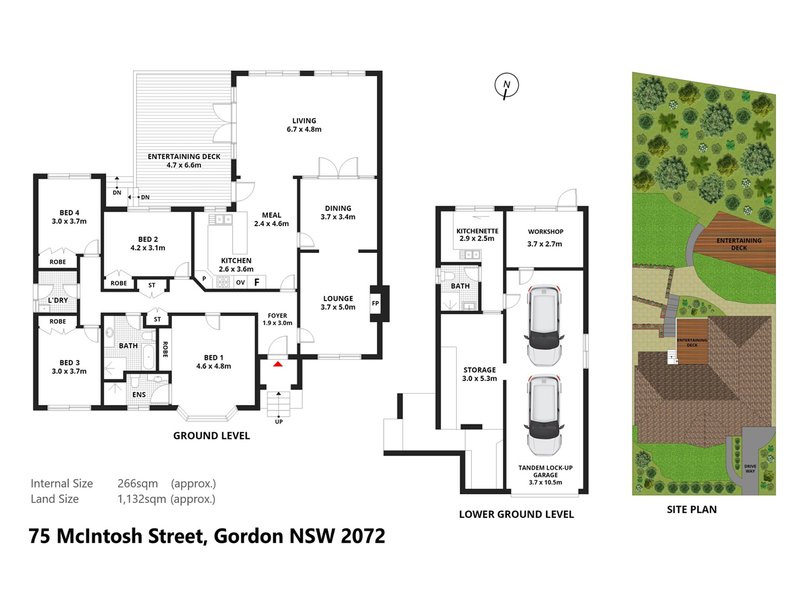 Photo - 75 Mcintosh Street, Gordon NSW 2072 - Image 17