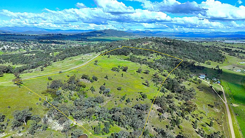 Photo - 75 Ray Carter Drive, Quirindi NSW 2343 - Image 3