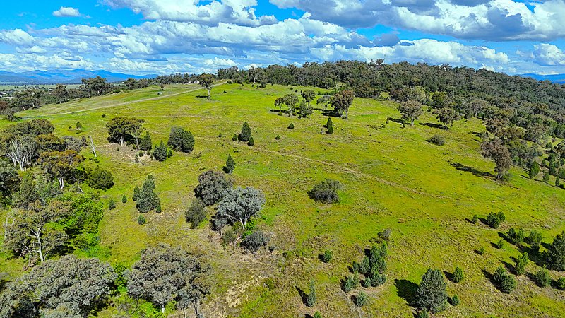 Photo - 75 Ray Carter Drive, Quirindi NSW 2343 - Image 4