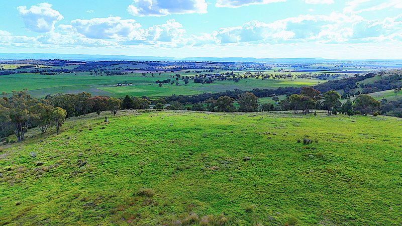 Photo - 75 Ray Carter Drive, Quirindi NSW 2343 - Image 9