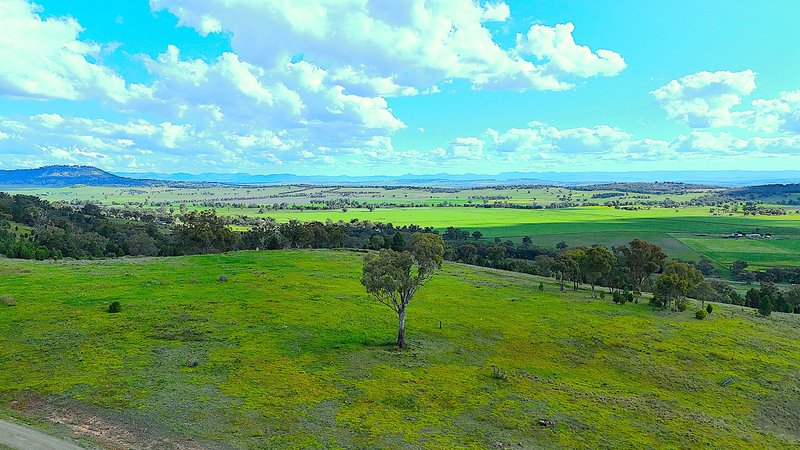 Photo - 75 Ray Carter Drive, Quirindi NSW 2343 - Image 11