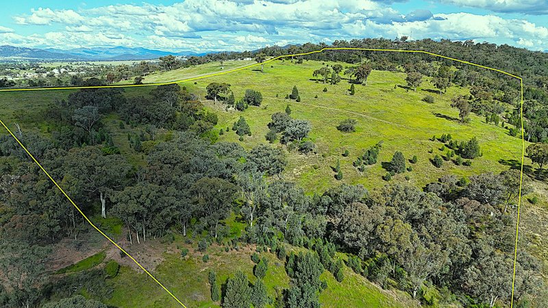 Photo - 75 Ray Carter Drive, Quirindi NSW 2343 - Image 13