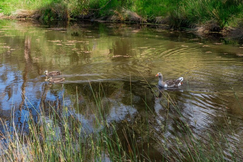 Photo - 75 Saddle Road, Kettering TAS 7155 - Image 18
