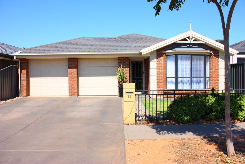 75 Serpentine Circuit, Andrews Farm SA 5114