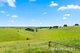 Photo - 75 Territory Road, Strzelecki VIC 3950 - Image 25