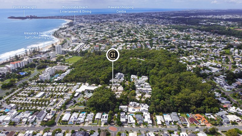 Photo - 7/5 Tranquil Place, Alexandra Headland QLD 4572 - Image 26
