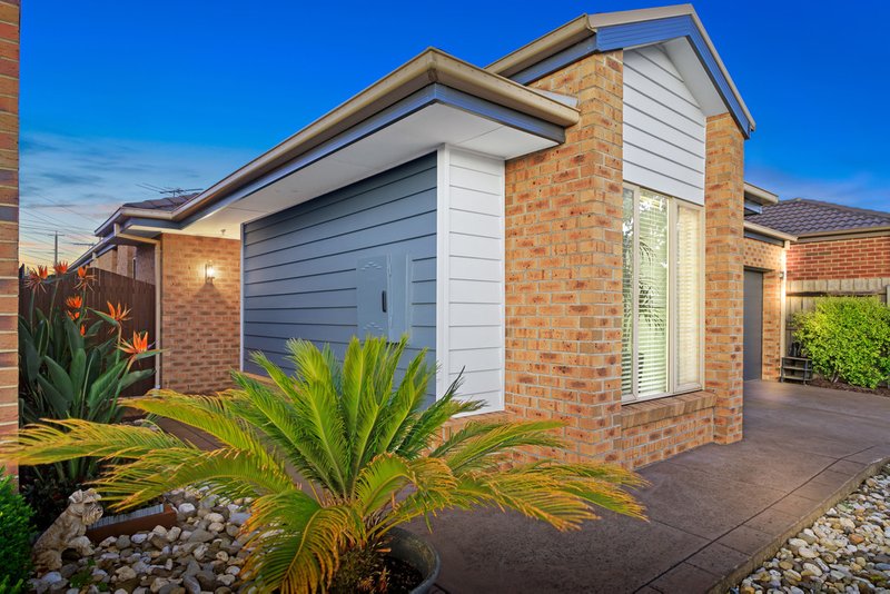 Photo - 75 Vincent Drive, South Morang VIC 3752 - Image 12