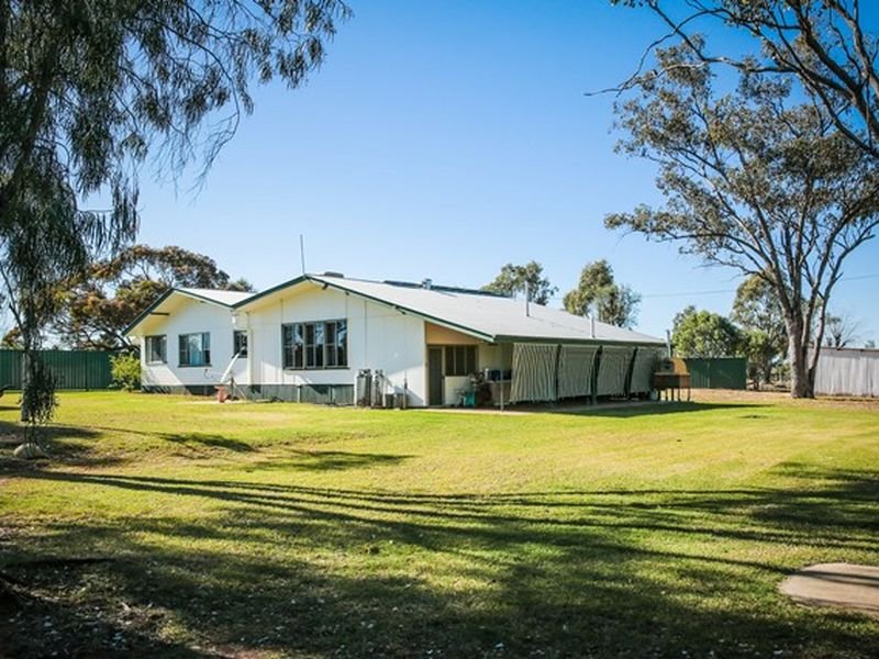 Photo - 75 Warooby Lane, Roma QLD 4455 - Image 7