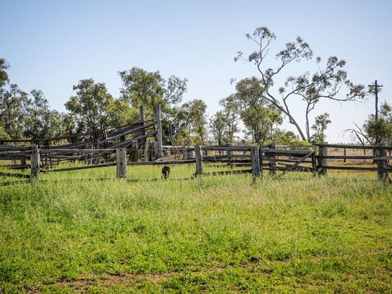 Photo - 75 Warooby Lane, Roma QLD 4455 - Image 11