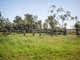 Photo - 75 Warooby Lane, Roma QLD 4455 - Image 11