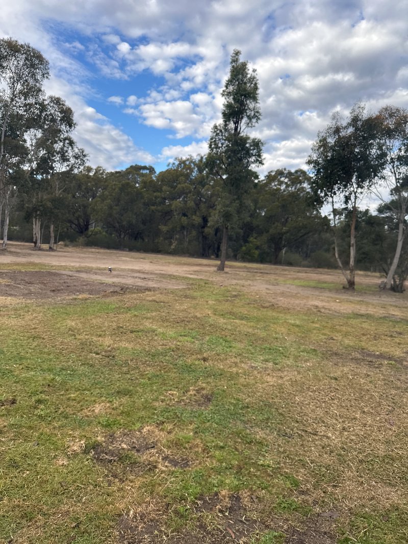 Photo - 75 Warrobyn Road, Bargo NSW 2574 - Image 14