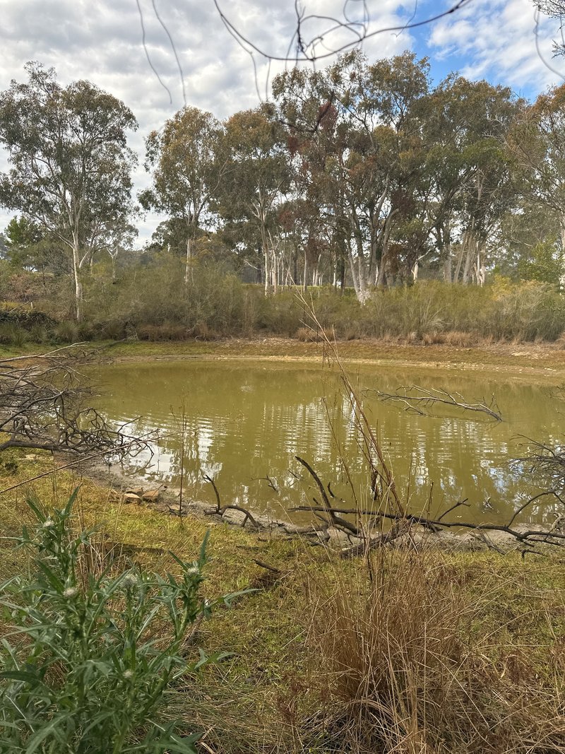 Photo - 75 Warrobyn Road, Bargo NSW 2574 - Image 15