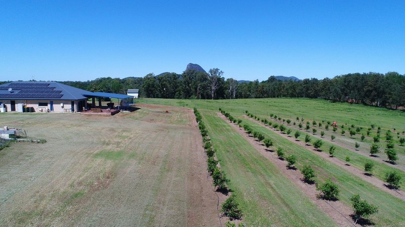 Photo - 75 Youngs Rd , Glass House Mountains QLD 4518 - Image 9