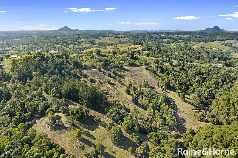 Photo - 750 Cooroy Belli Creek Road, Black Mountain QLD 4563 - Image 2