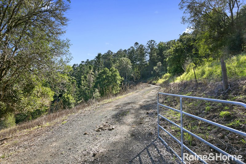 Photo - 750 Cooroy Belli Creek Road, Black Mountain QLD 4563 - Image 4