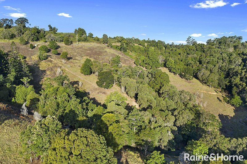 Photo - 750 Cooroy Belli Creek Road, Black Mountain QLD 4563 - Image 5