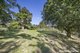 Photo - 750 Cooroy Belli Creek Road, Black Mountain QLD 4563 - Image 6