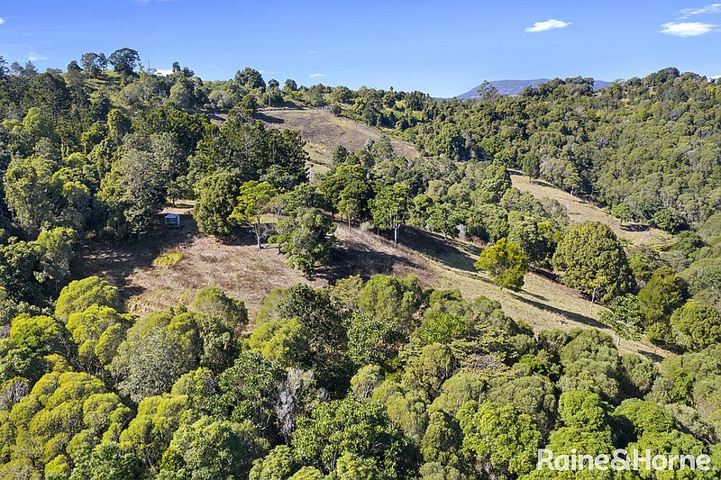 Photo - 750 Cooroy Belli Creek Road, Black Mountain QLD 4563 - Image 7