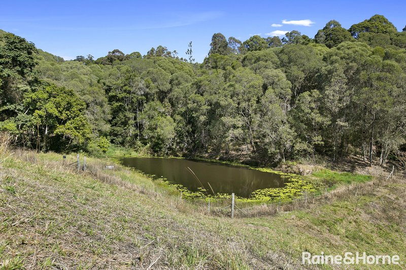 Photo - 750 Cooroy Belli Creek Road, Black Mountain QLD 4563 - Image 10