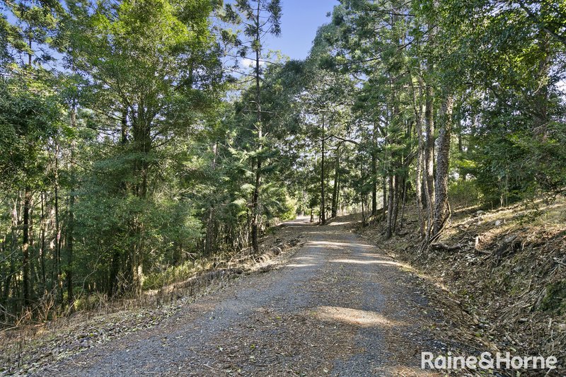 Photo - 750 Cooroy Belli Creek Road, Black Mountain QLD 4563 - Image 11